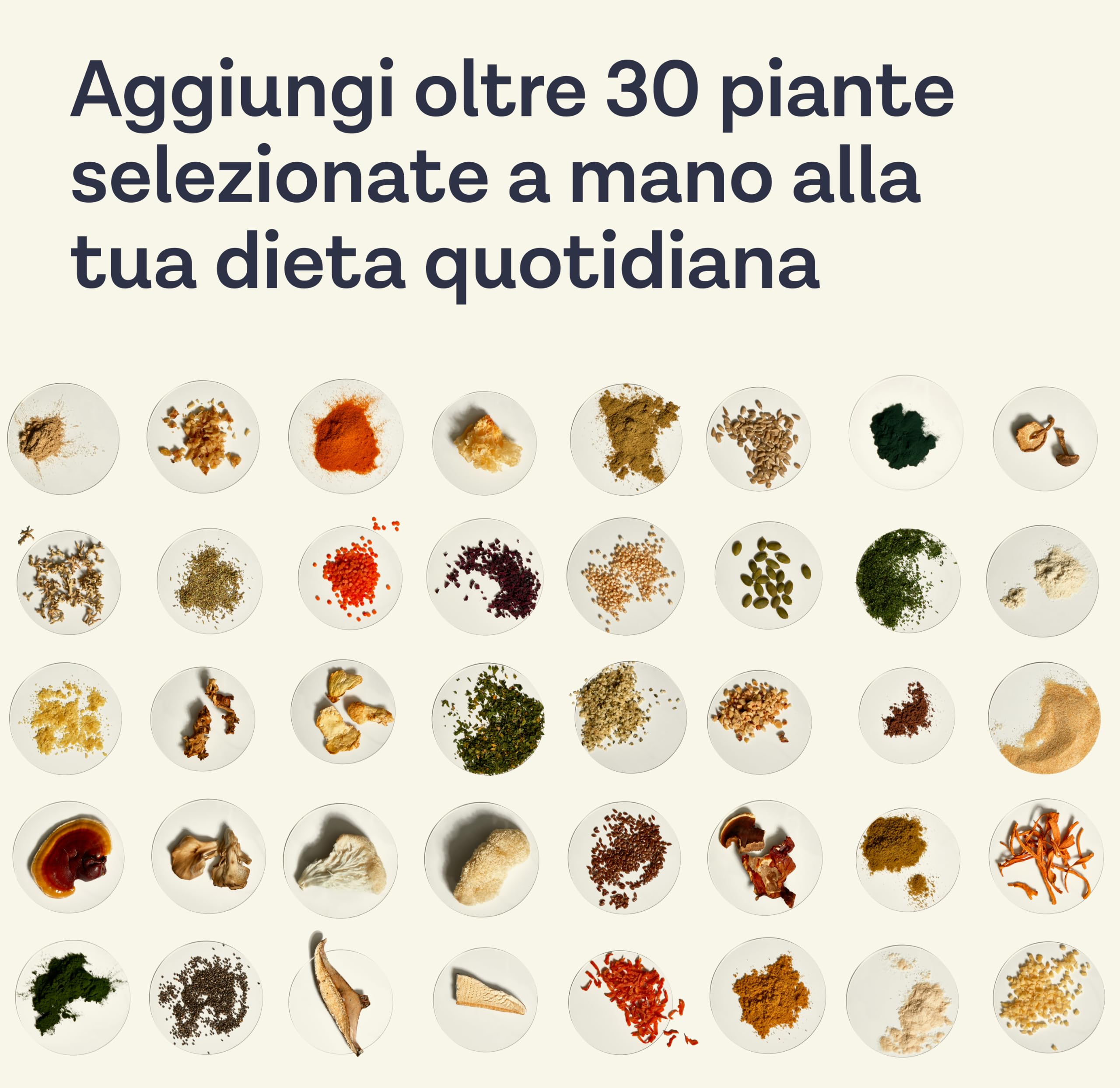 Daily30 Integratore per la Salute dell’Intestino | Oltre 30 Ingredienti Vegetali Ricchi di Fibre | Favorisce la Salute Digestiva e Intestinale | Vegano e Senza Glutine | 30 Porzioni
