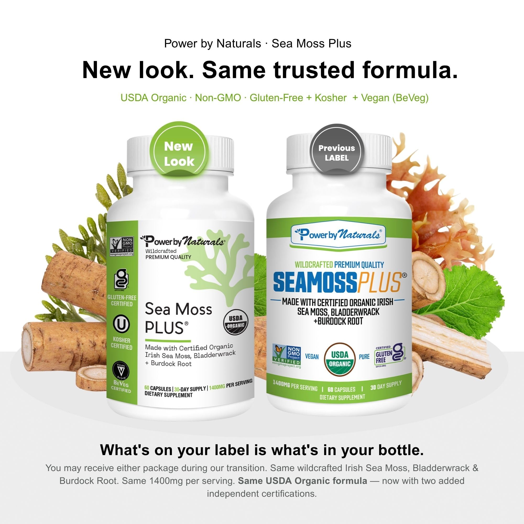 Power By Naturals Sea Moss Plus – USDA Organic Irish Sea Moss Capsules with Bladderwrack & Burdock Root – Immune Support – Vegan, Non-GMO, Gluten-Free – 120 Capsules, 2-Pack (2-Month Supply) — Amazon image 3