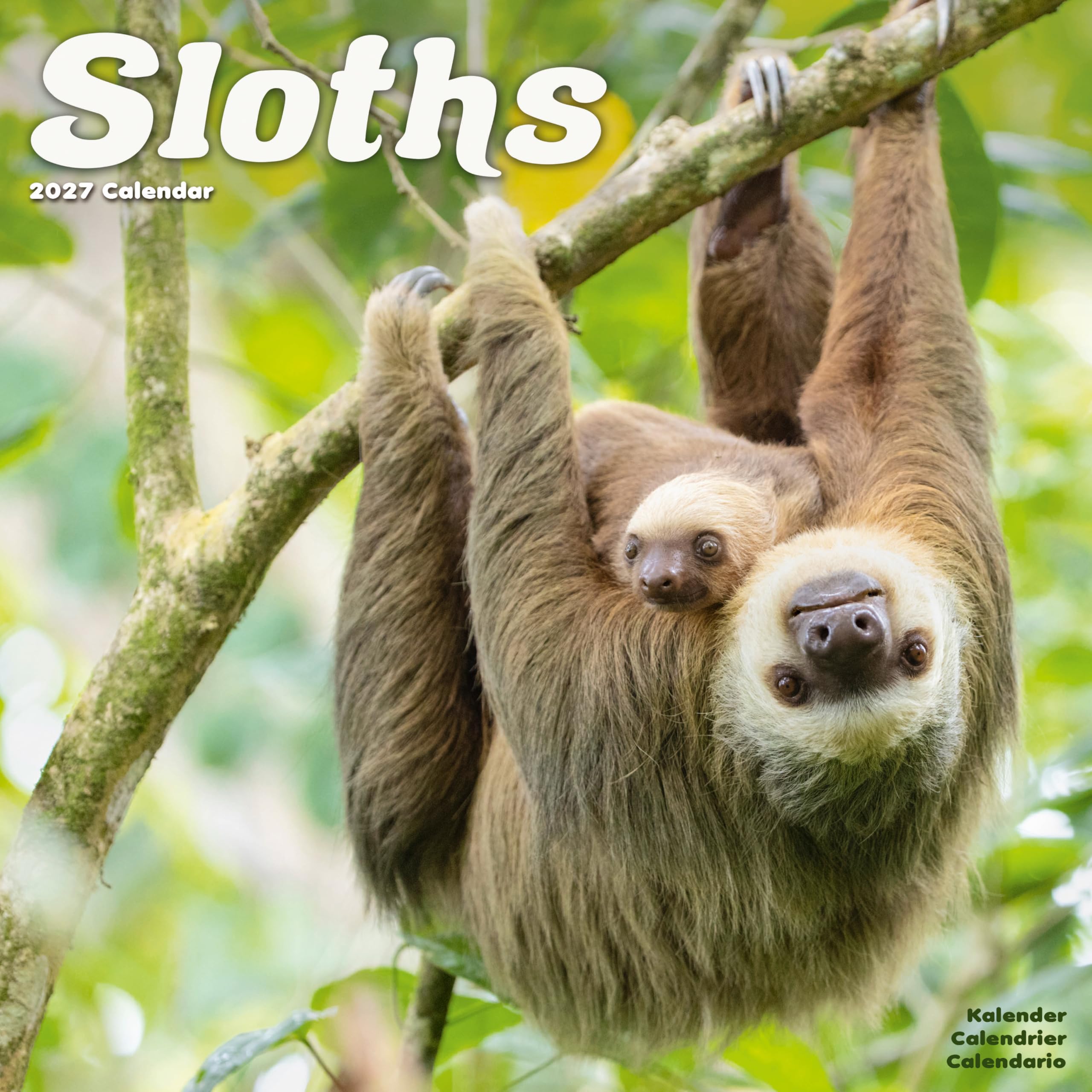 Sloths Calendar 2027, Wall Calendars, Month To View, Animals, Gift