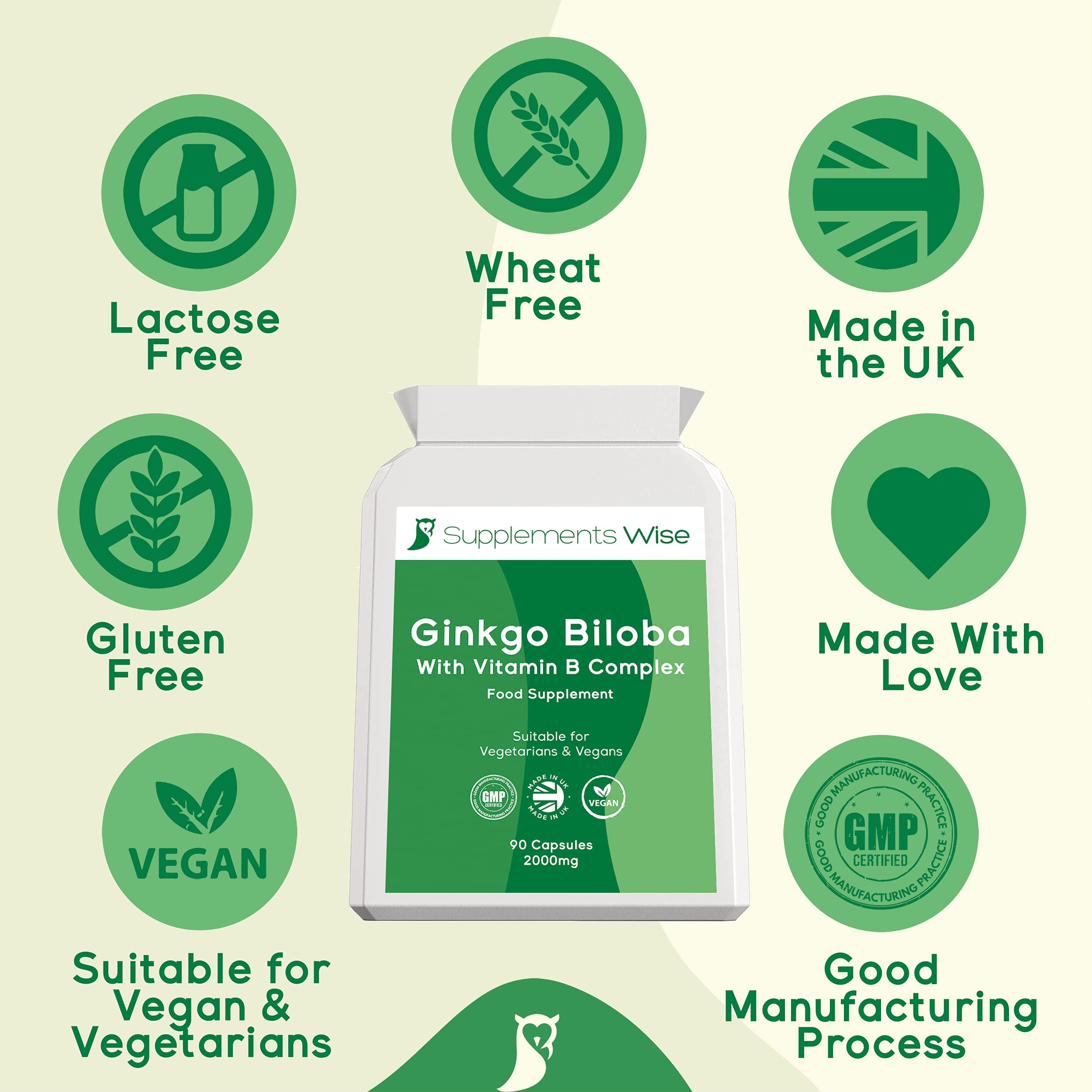 Ginkgo Biloba Capsules 90 x 2000mg Encourages Healthy Blood