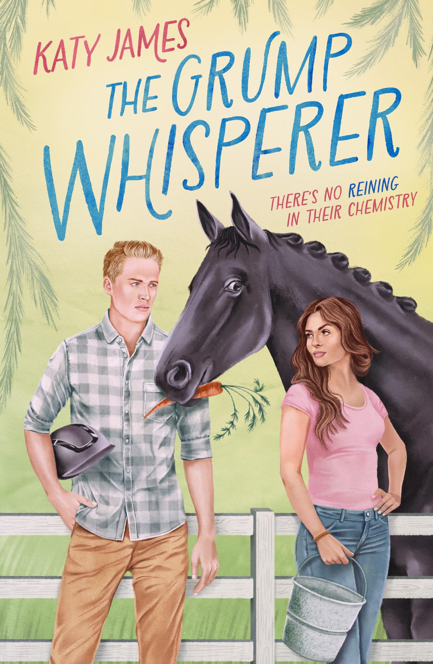 The Grump Whisperer, Fiction, Paperback, Katy James