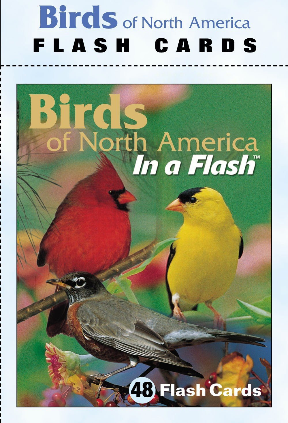 5PK Flash Cards Birds North American