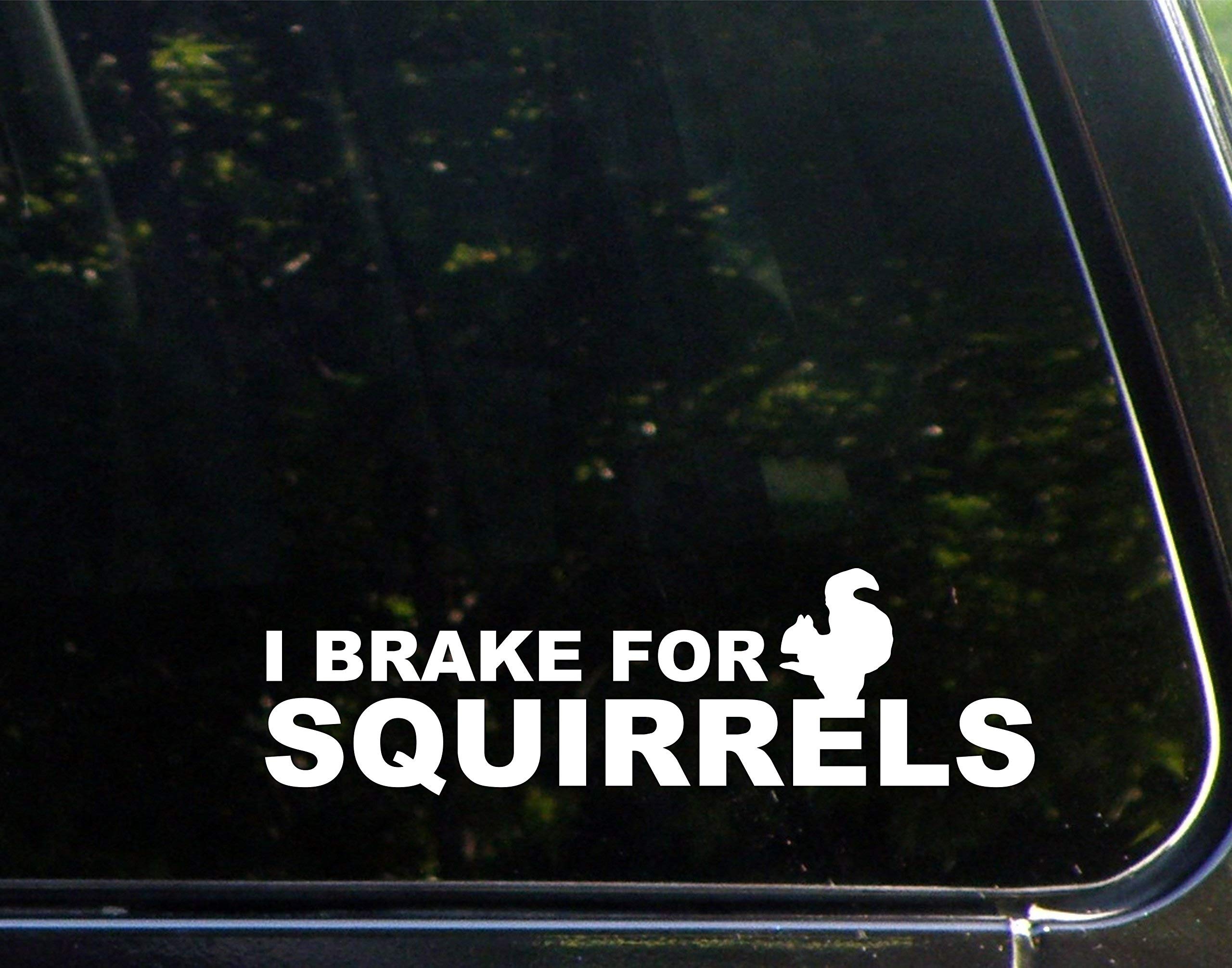 Diamond Graphics I Brake for Squirrels (8-3/4