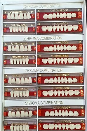 Chromarock Two Layered Acrylic Teeth Set of 4 Full box Size-A1-42