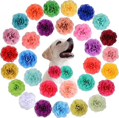 30 piezas de collar de perro, accesorios de flores, collar de flores para mascotas, dijes de flores para mascotas, collares de flores para