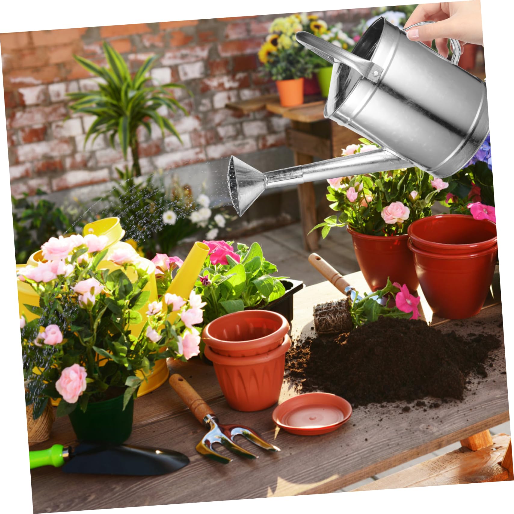 Générique Arrosoir en pour Plantes D'intérieur Arrosoir à Long Bec 5l Poignée pour Arrosage Intérieur Et Extérieur Brumisateur Pratique Et Robuste