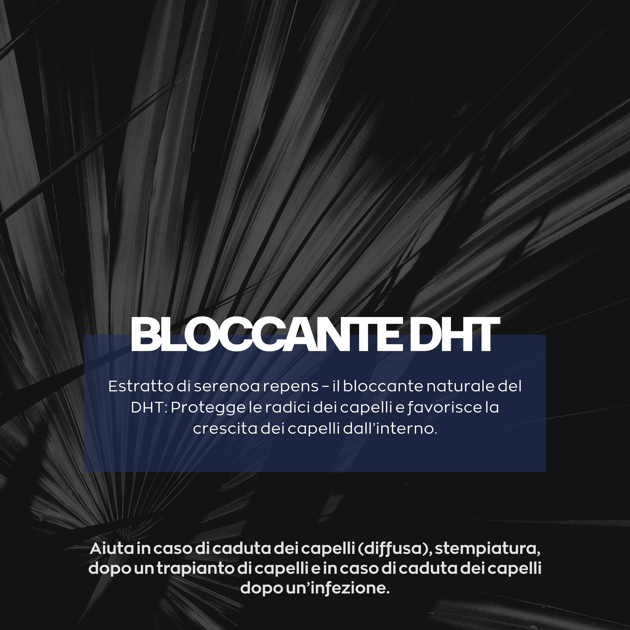 XPECIA, contro la caduta dei capelli nell’uomo, formula per la ricrescita dei capelli