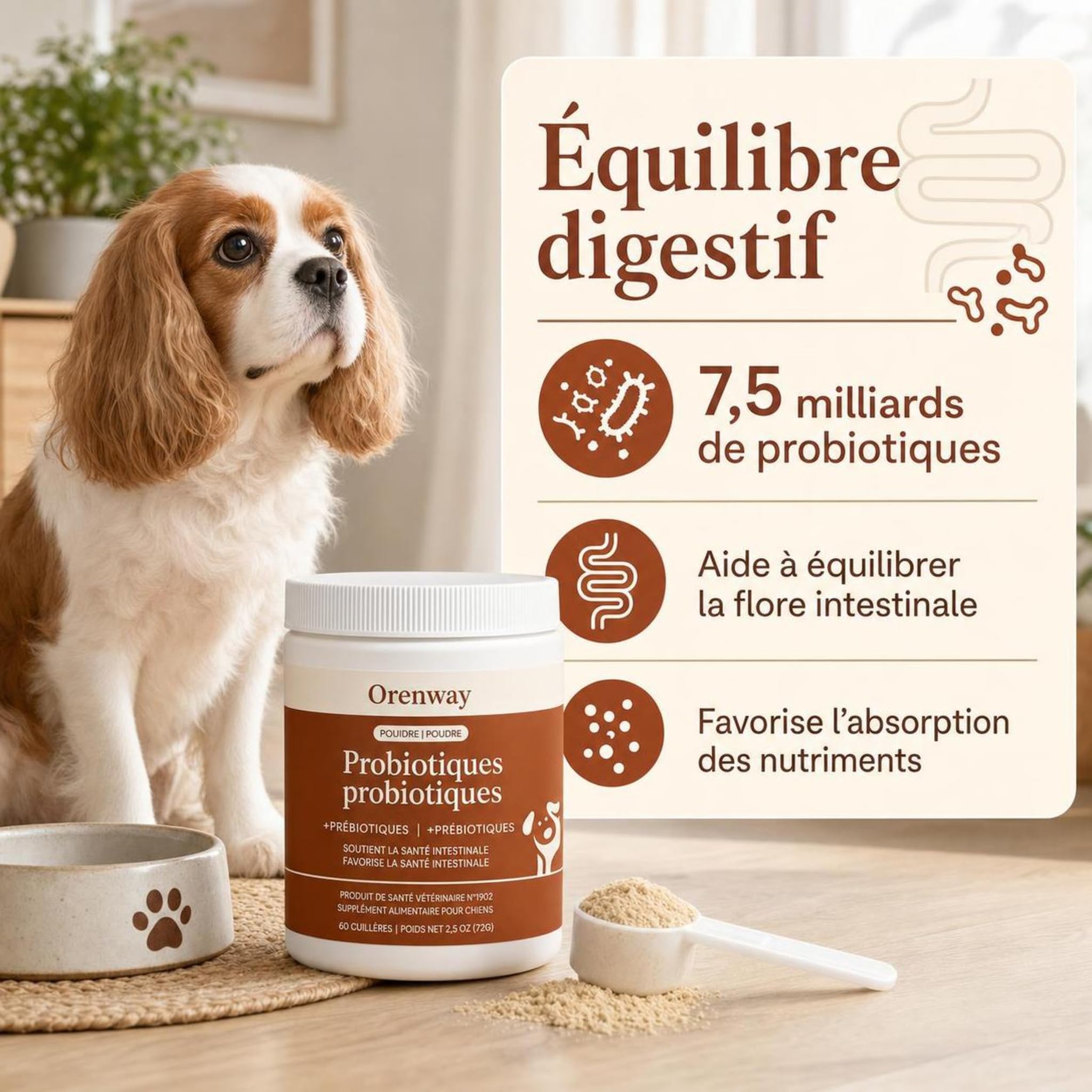 Woofilab Immunité & démangeaisons Complément Alimentaire Chien au Quotidien (2 pièce)