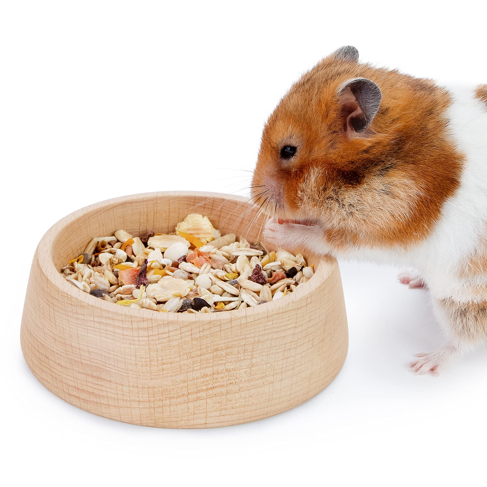 Hamsters Food Favorites Diet What Is Hamsters Favorite Food What