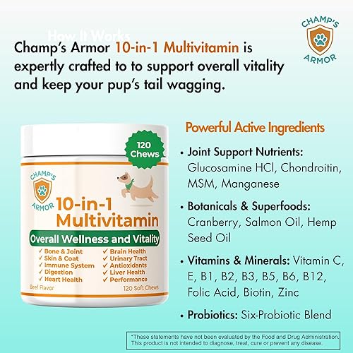 Miniatura 3 de Champ's Armor Masticables multivitamínicos 10 en 1 para perros  Cadera y articulaciones, piel, digestión, sistema inmunológico, corazón y salud