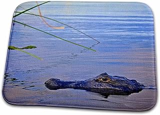 3dRose Bathroom Bath Rug Mat - Yacare Caiman Crocodile, Argentina - SA01 AMR0022 - Andres Morya Hinojosa Crocodiles