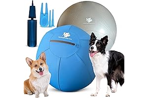 Herding Ball for Enthusiastic Herders