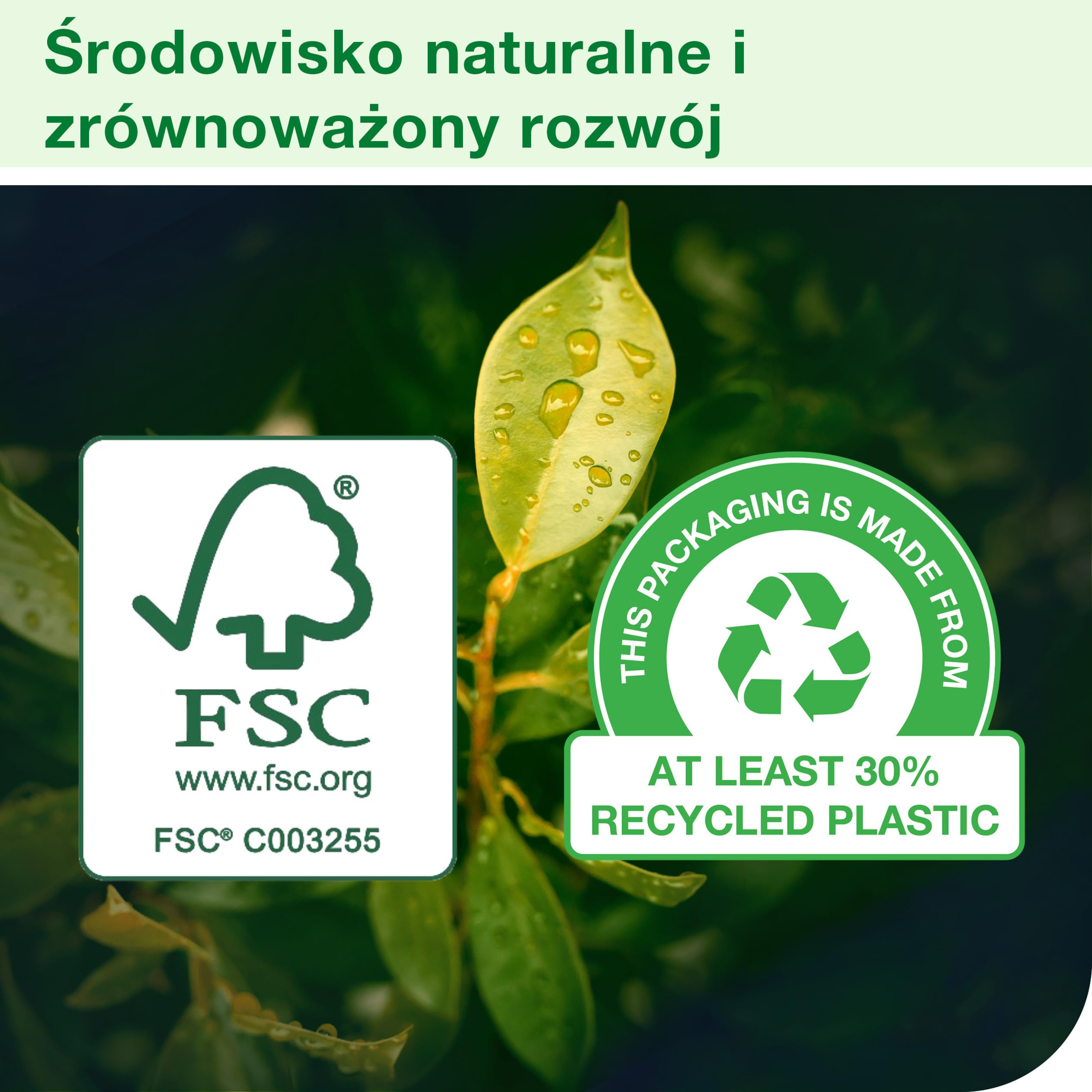 Tork Matic Ręcznik Papierowy w Rolce Naturalny H1, Zaawansowany, Odporny na Rozdarcie, 2-Warstwowy, 6 x 150 M, 290099