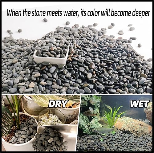 Miniatura 3 de CJGQ Rocas negras de 18 libras para plantas, rocas decorativas de río para suculentas, cactus jardín, paisajismo al aire libre, guijarros de playa