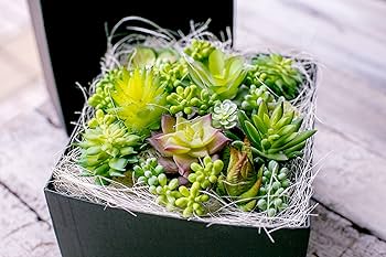 Amazon｜多肉植物 造花 寄せ植え ギフト 多肉フェイクグリーン