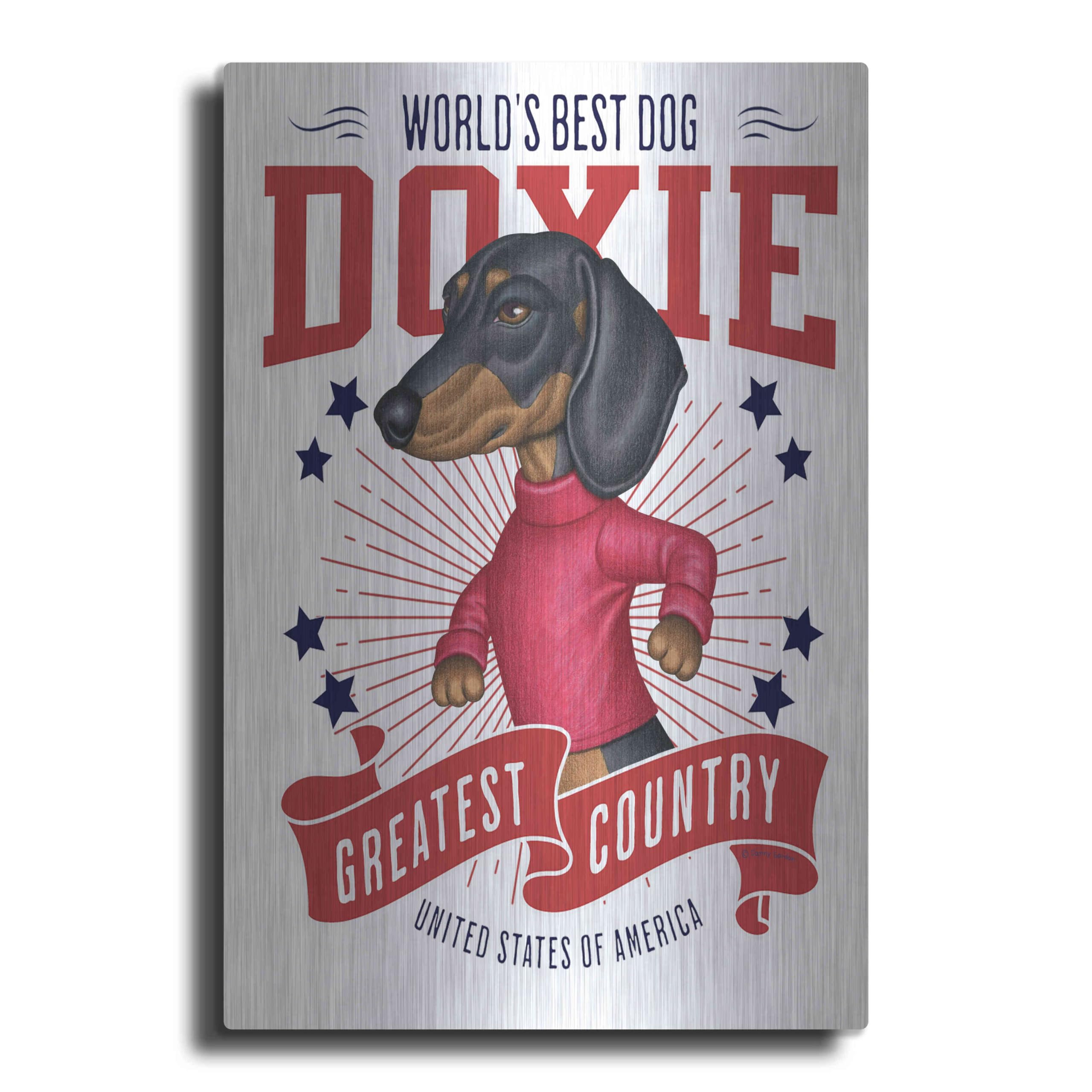 'Ollie USA' by Danny Gordon Art, Metal Wall Art, 16"x24"