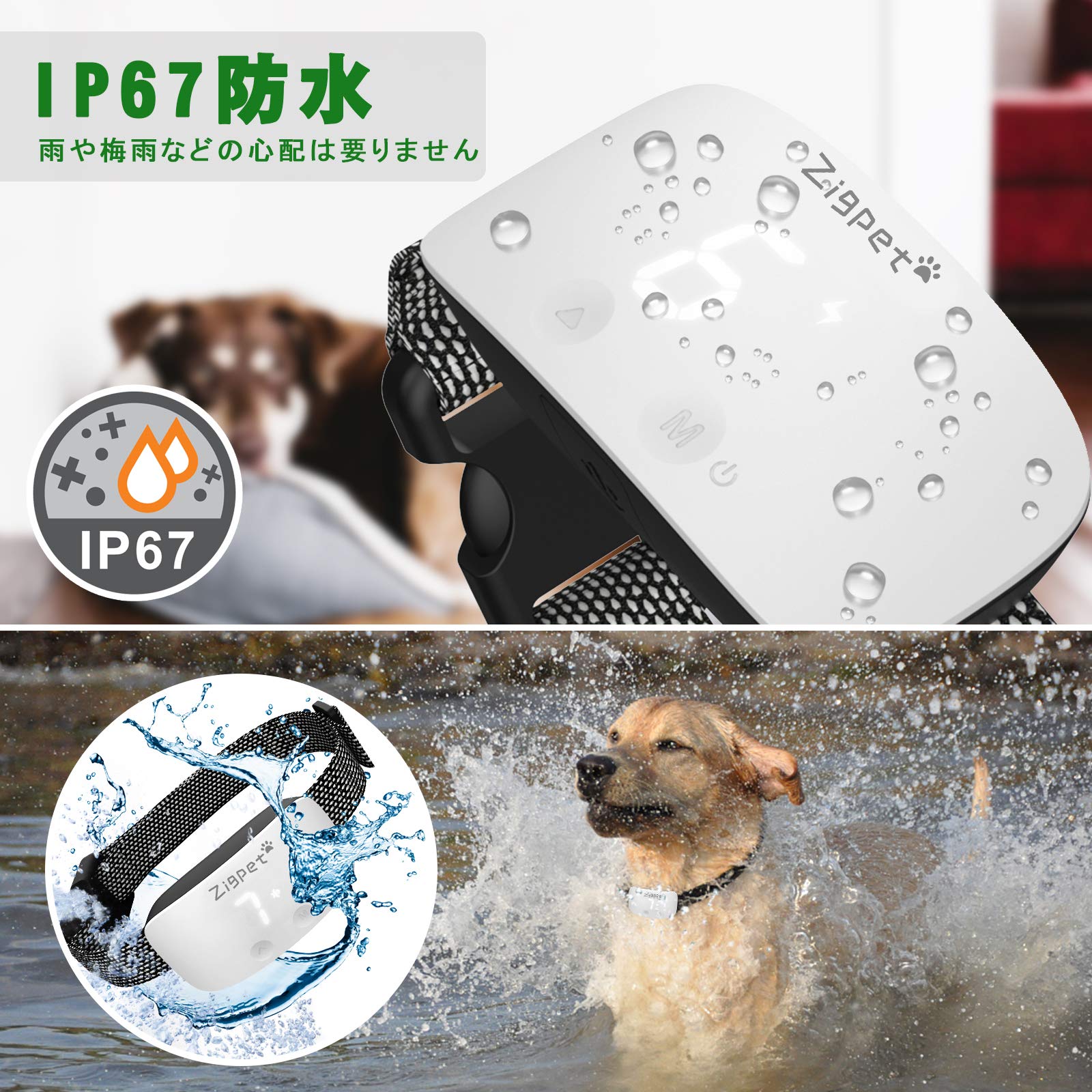 Amazon | Zigpet 犬無駄吠え防止 リモート 全自動式 無駄吠え防止 首輪