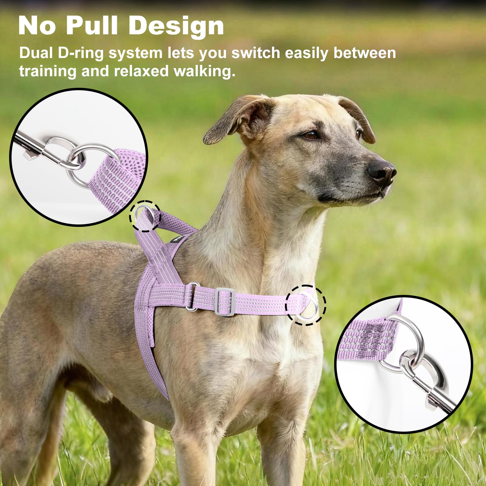 APakBak No Pull Dog Harness with Handle, Adjustable Soft Mesh Padded Reflective Walking Harness with Front Clip for Small Medium Large Dogs – Quick Fit No Escape for Training and Hiking (Purple, L) - image 2