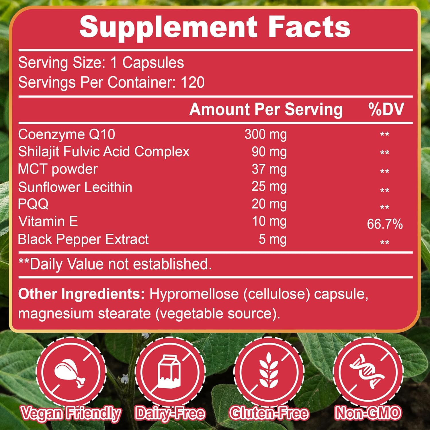 DYHONKEE CoQ10 Supplement 300mg with PQQ, Powerful Formula for Energy Support, Enhanced Absorption, 120 Capsules