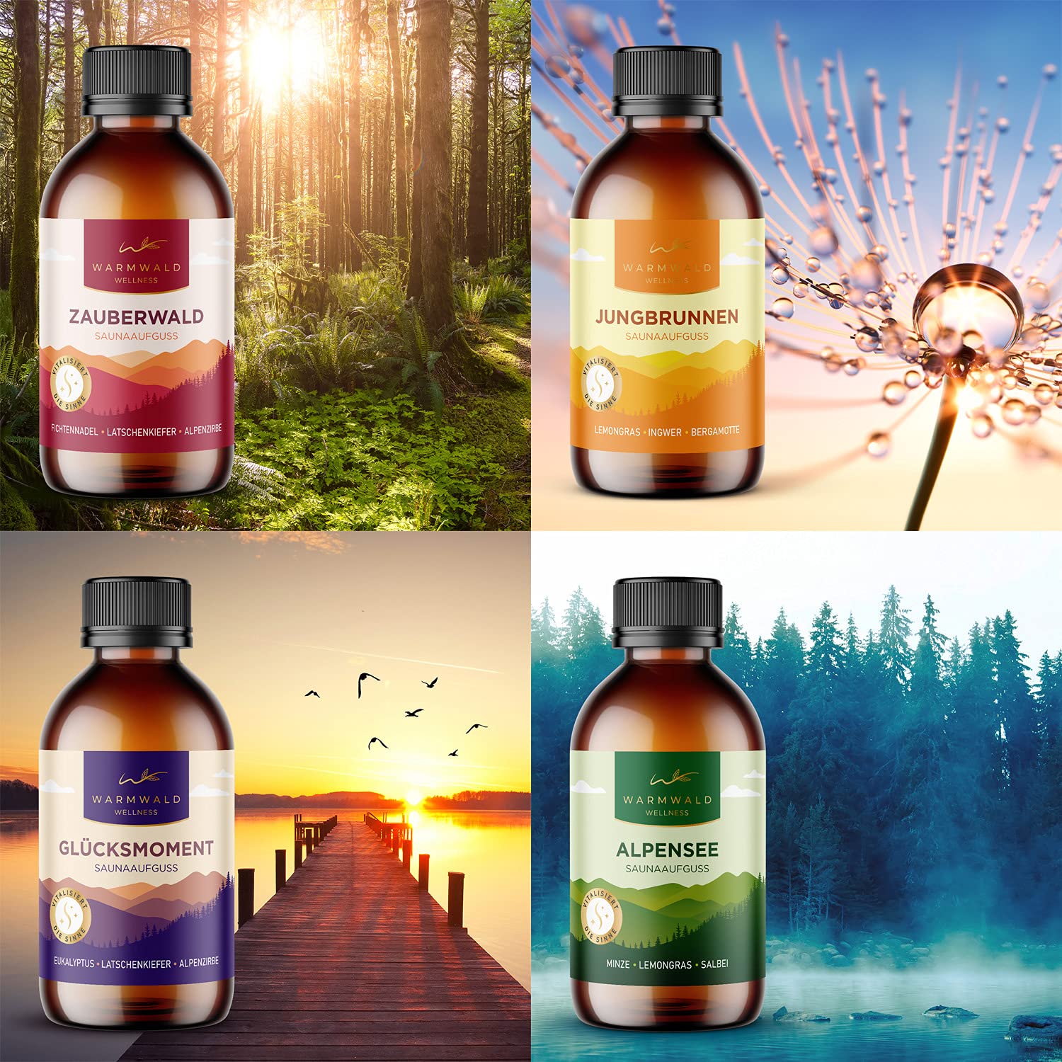 Warmwald Saunaaufguss Aufgussmittel mit natürlichen ätherischen Ölen Saunaöl Saunaduft QUARTETT 4 x 100ml