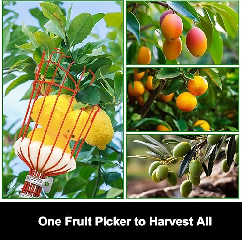 Miniatura 5 de joyhalo Recolector de frutas con cesta, recogedor de manzanas de 5.5 pies con mango ajustable de acero inoxidable, cesta de recolección de frutas