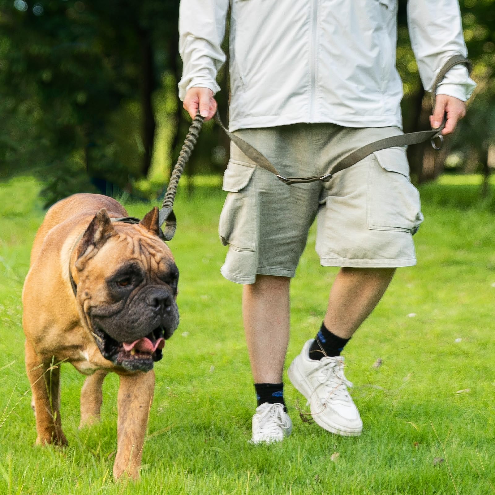 EXCELLENT ELITE SPANKER Ceinture de Chien Tactique 5-6 Pieds Lourds réglables sans tirage Ceinture de Chien de Jumping Militaire Corde de Plomb élastique 2 poignées de contrôle de Tapis(COB)