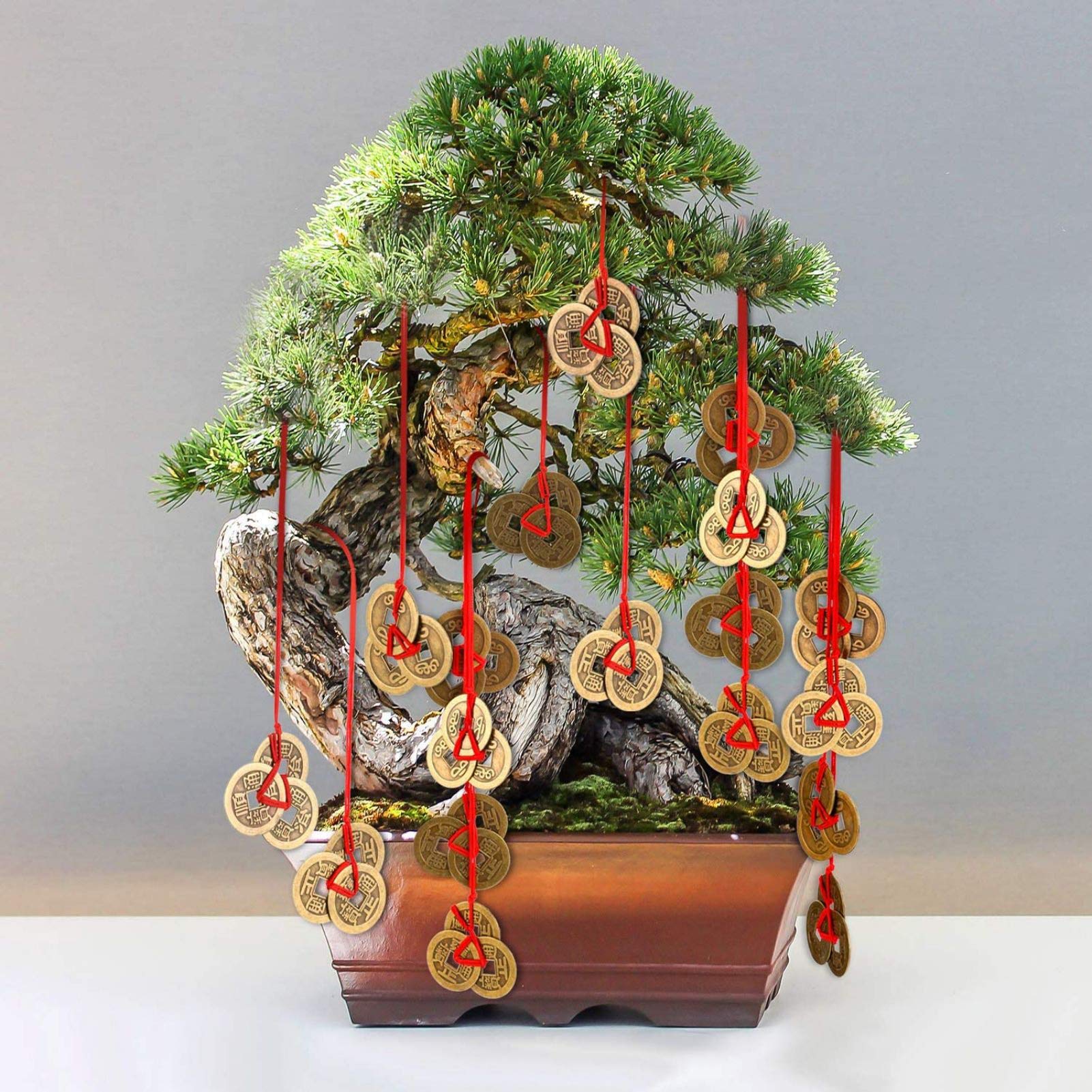 20 Pièces (10 Pièces De Monnaie Et 10 Sacs Surprises) Pièce De Nouvel An Chinois Feng Shui