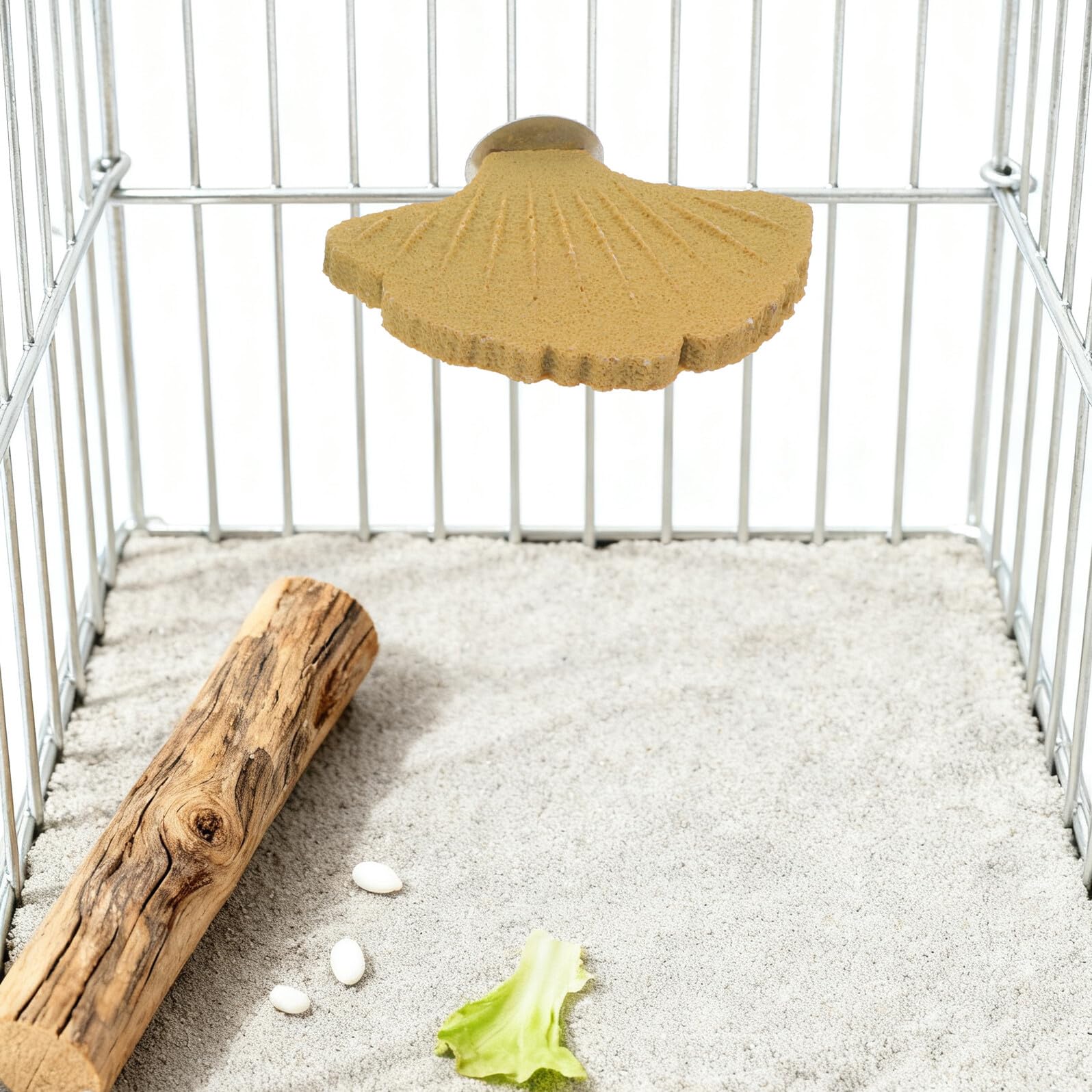 DOITOOL 3 Stück Vogelstangen mit Krallenschleifstein rutschfest Stabile Sitzplattform für Papageien Wellensittiche und Nymphensittiche Vogelkäfigzubehör