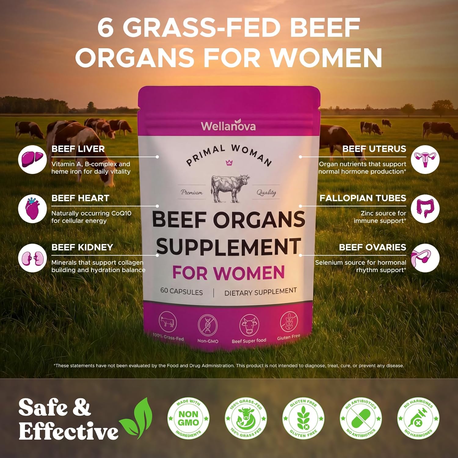 Primal Beef Organ Supplement for Women, Grass-Fed Ancestral Superfood Supplement with Uterus & Liver for Hormone Balance & Queen Energy - 60 Day Supply - Image 4