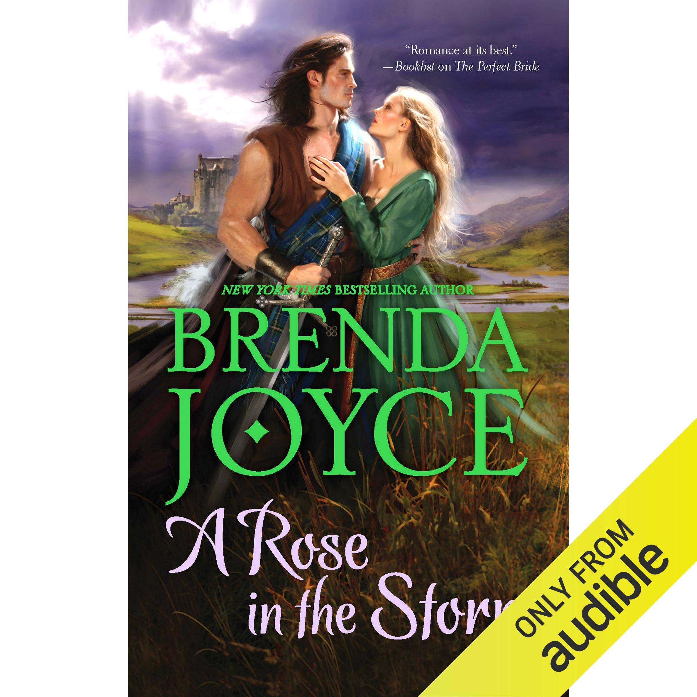 Cover art for A Rose in the Storm