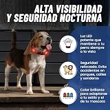 Ver la foto 2