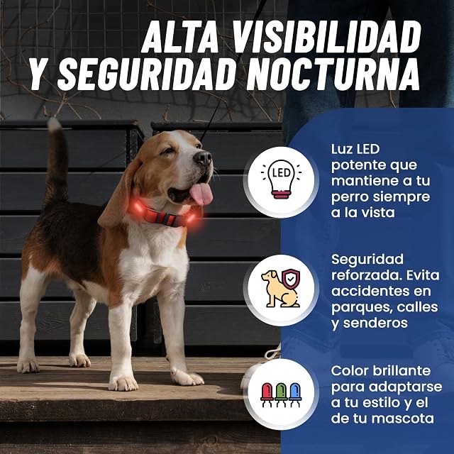 Foto 2 de 7 de VIPA Collar Perro - Collar Perro Pequeño Recargable por USB - Contiene 3 Modos de Luz