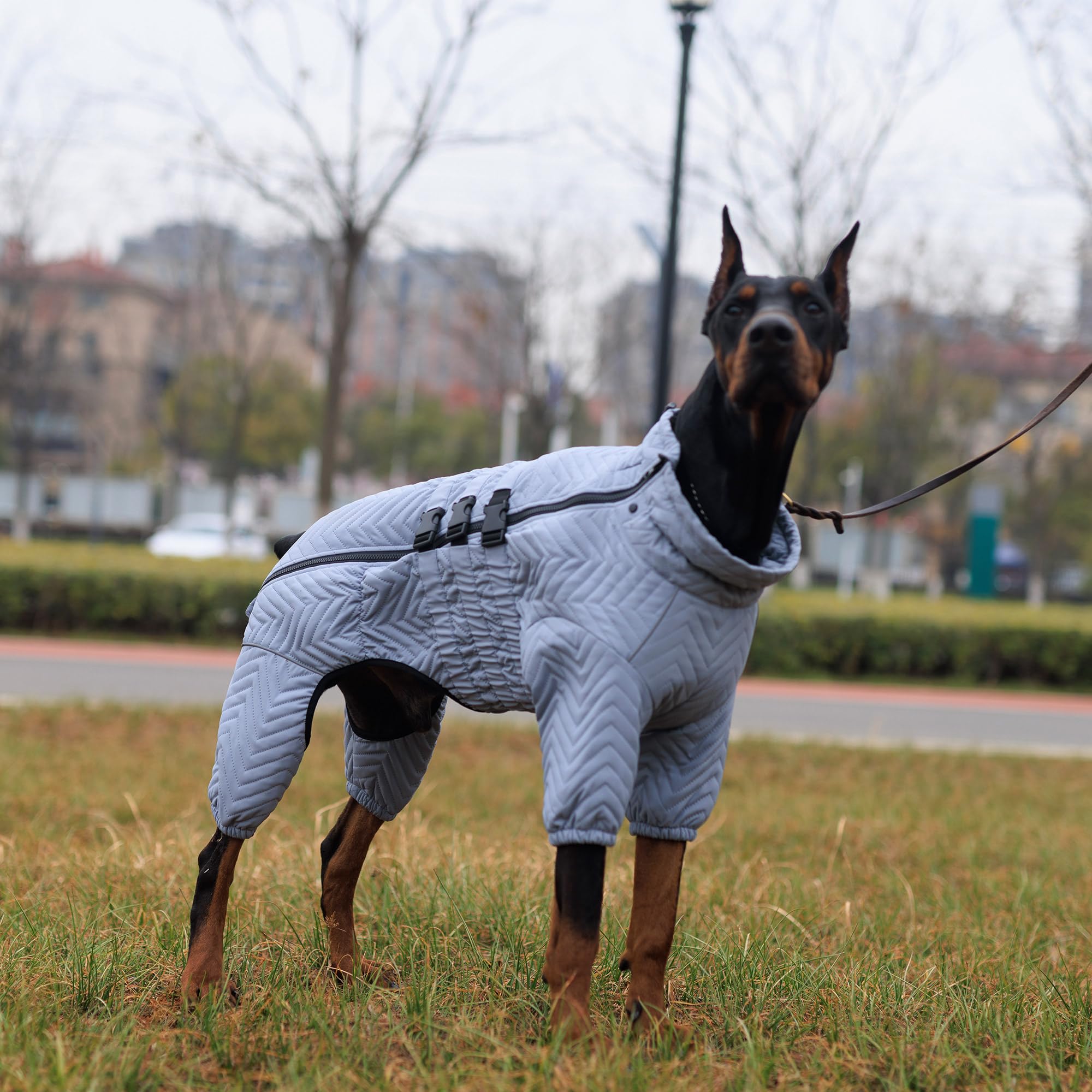 Abrigo cálido para perro, chaleco de doble capa, 4 patas cubiertas, resistente al viento, impermeable, reflectante, chaleco cálido para perro, patinaje al aire libre, disfraz para perros pequeños,