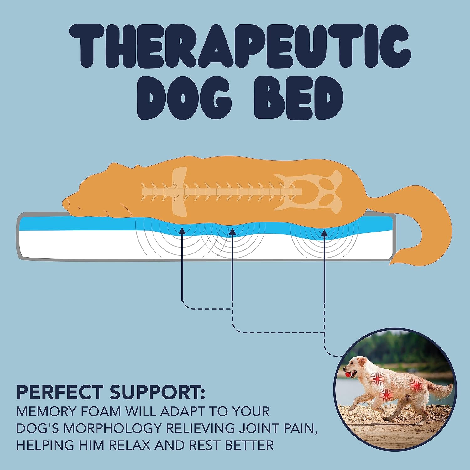 Memory Foam Dog Bed (High Density) - Orthopedic Dog Bed Insert for Large Dogs and Small, Medium, Extra Large Dogs - 5 Bed Sizes from Puppy to 100lbs Dog - Temperature Regulating Cooling Bed - M