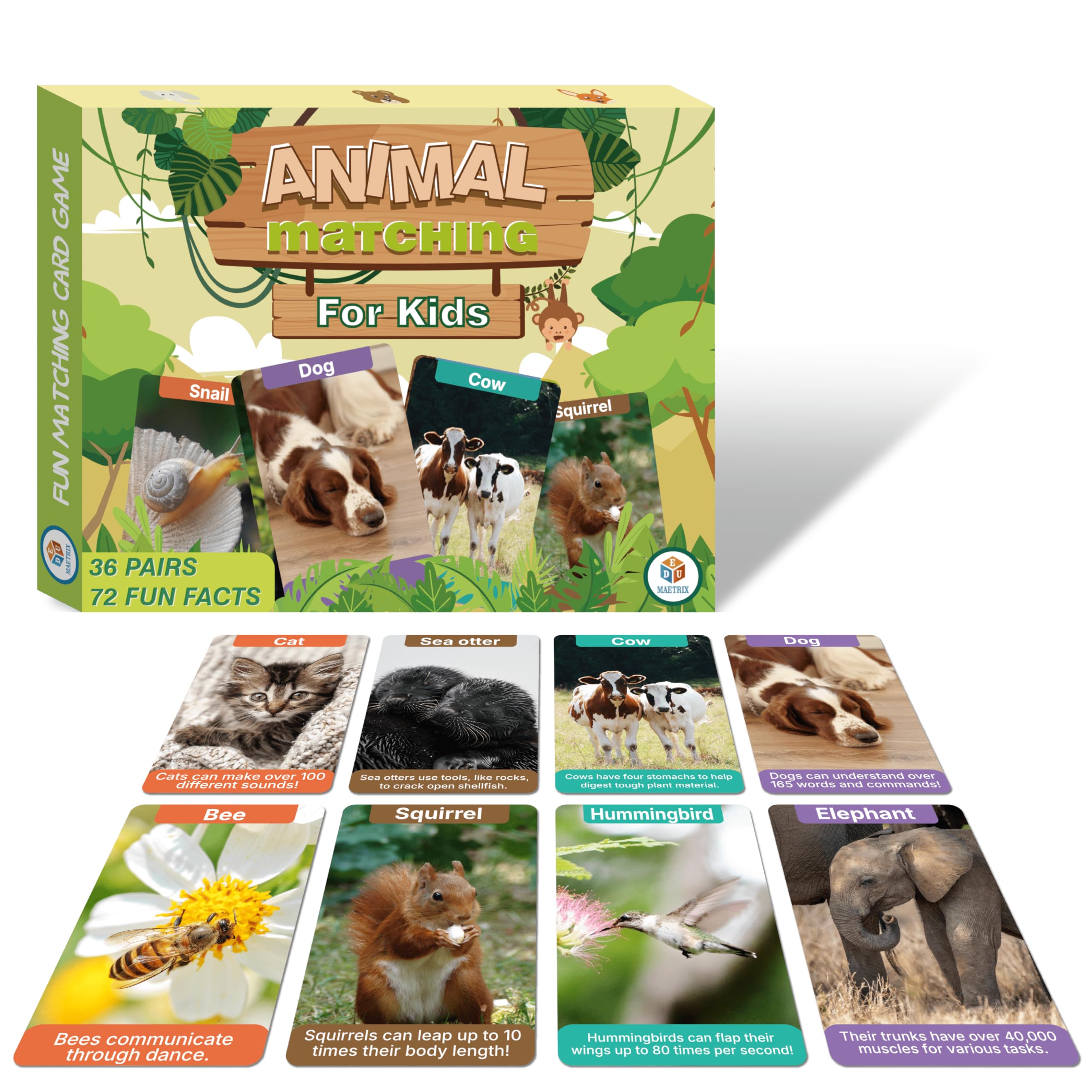 Amazon.com: EDUMAETRIX Animal Go Fish Card Game with Fun Facts for