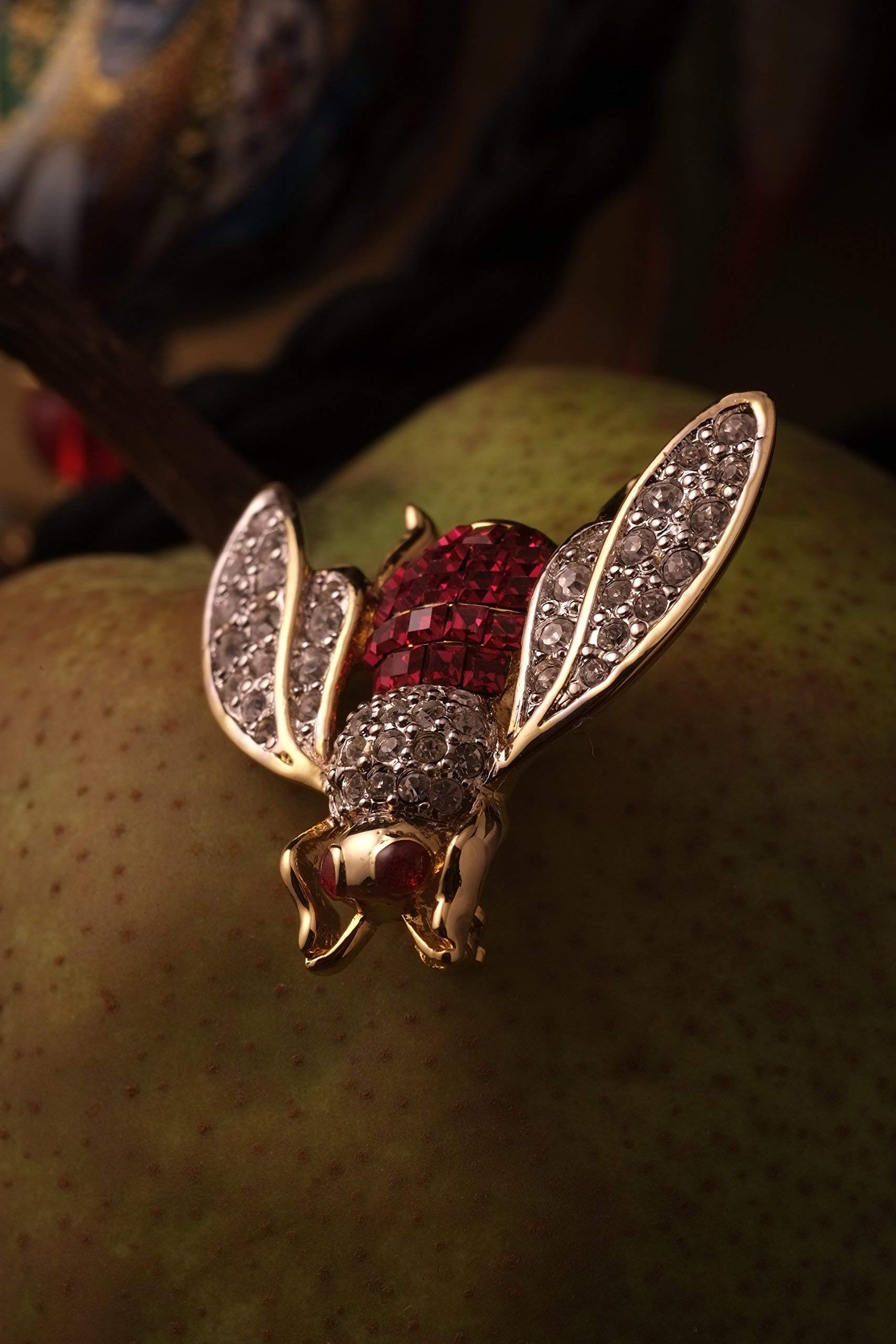 Amazon.com : Fujinon XF60mmF2.4 R Macro (Renewed) : Electronics