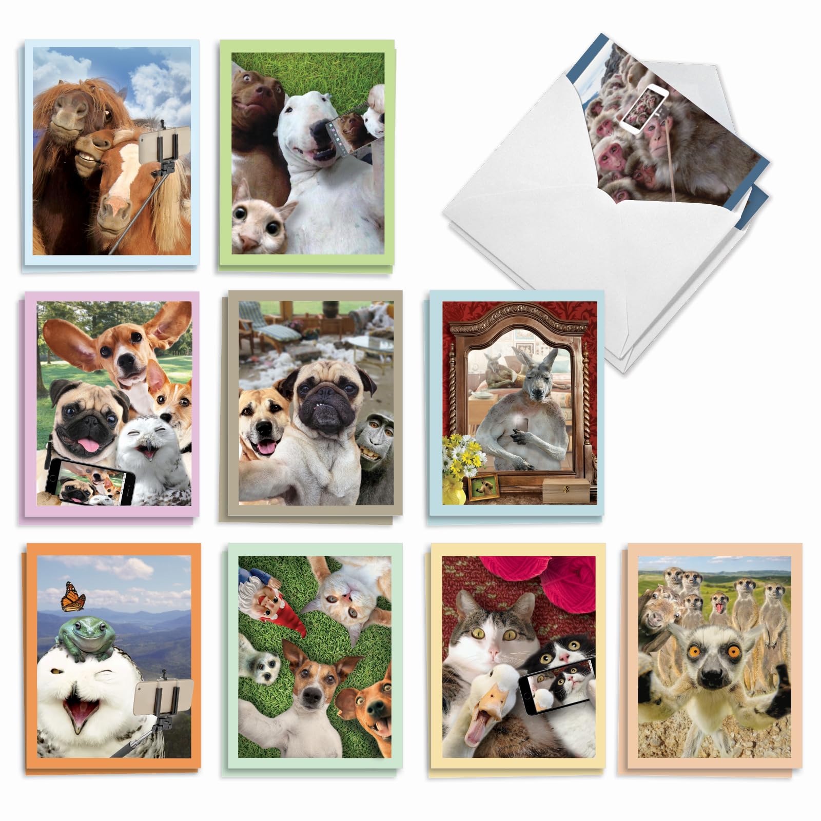 Best Card Co 20 Mini Animal Selfie All Occasion AM2373OCB-B2x10 Set