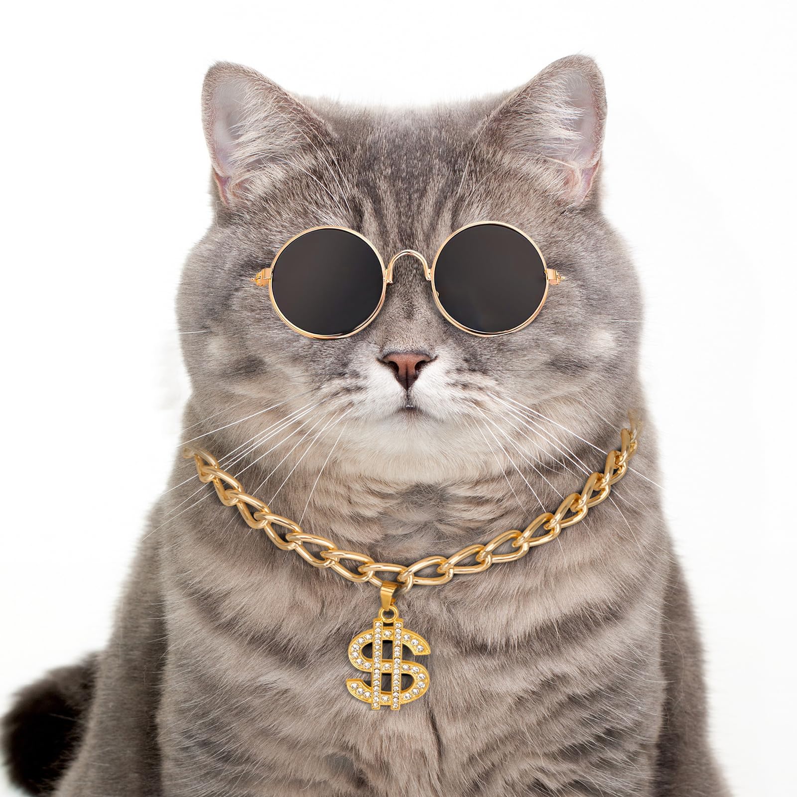 Q.Y.HOME Gold Chain Cat and Dog Collar Cuban Link Necklace with Crystal Dollar Sign Pendant Cute Fashion Pet Jewelry Chain Accessories Bring Jewelry Box Cat and Dog Universal (M)