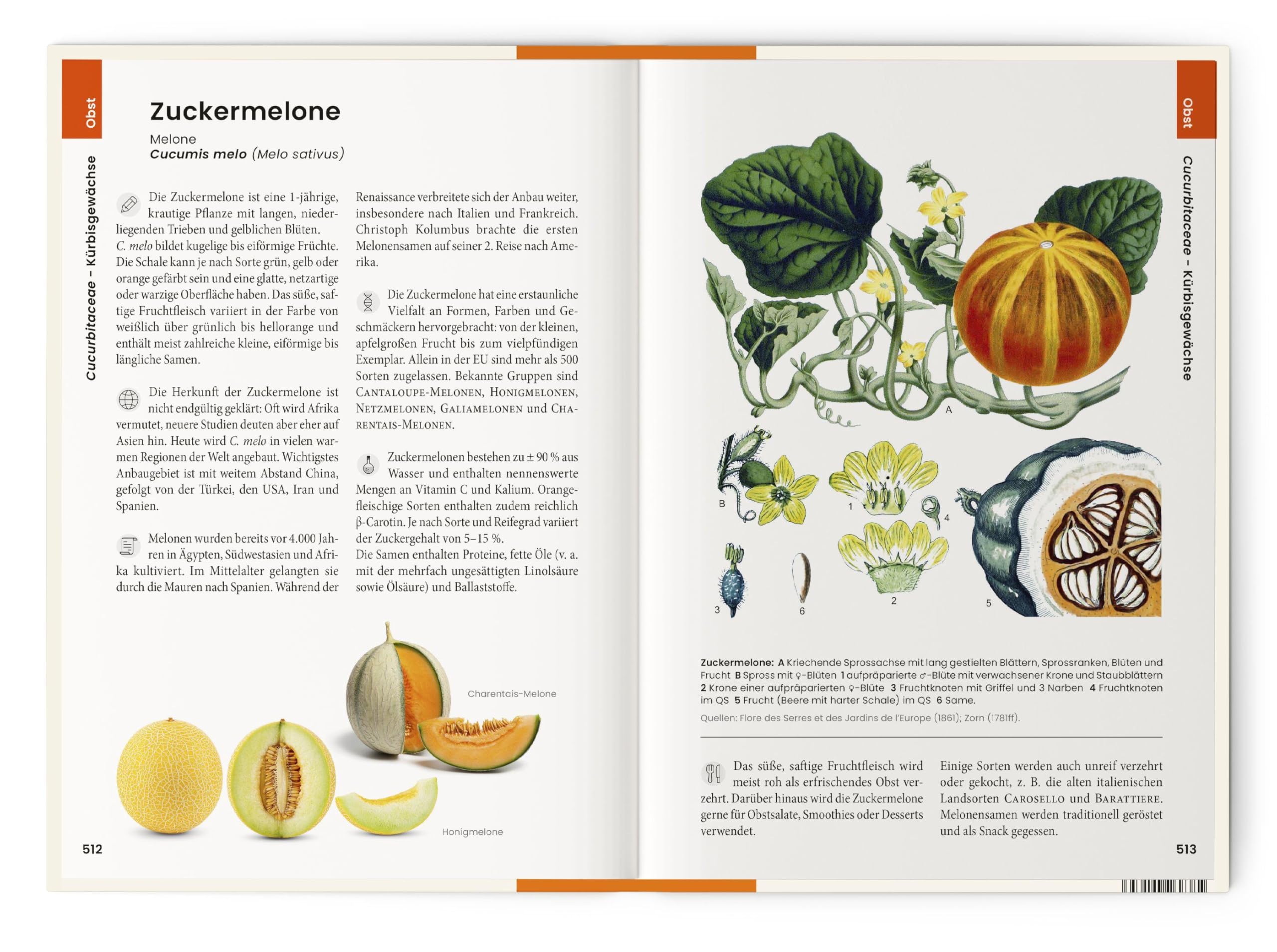 Vorzugsausgabe Was wir essen: Obst, Gemüse, Gewürze, Kräuter und Grundnahrungsmittel. Essbare Pflanzen aus aller Welt