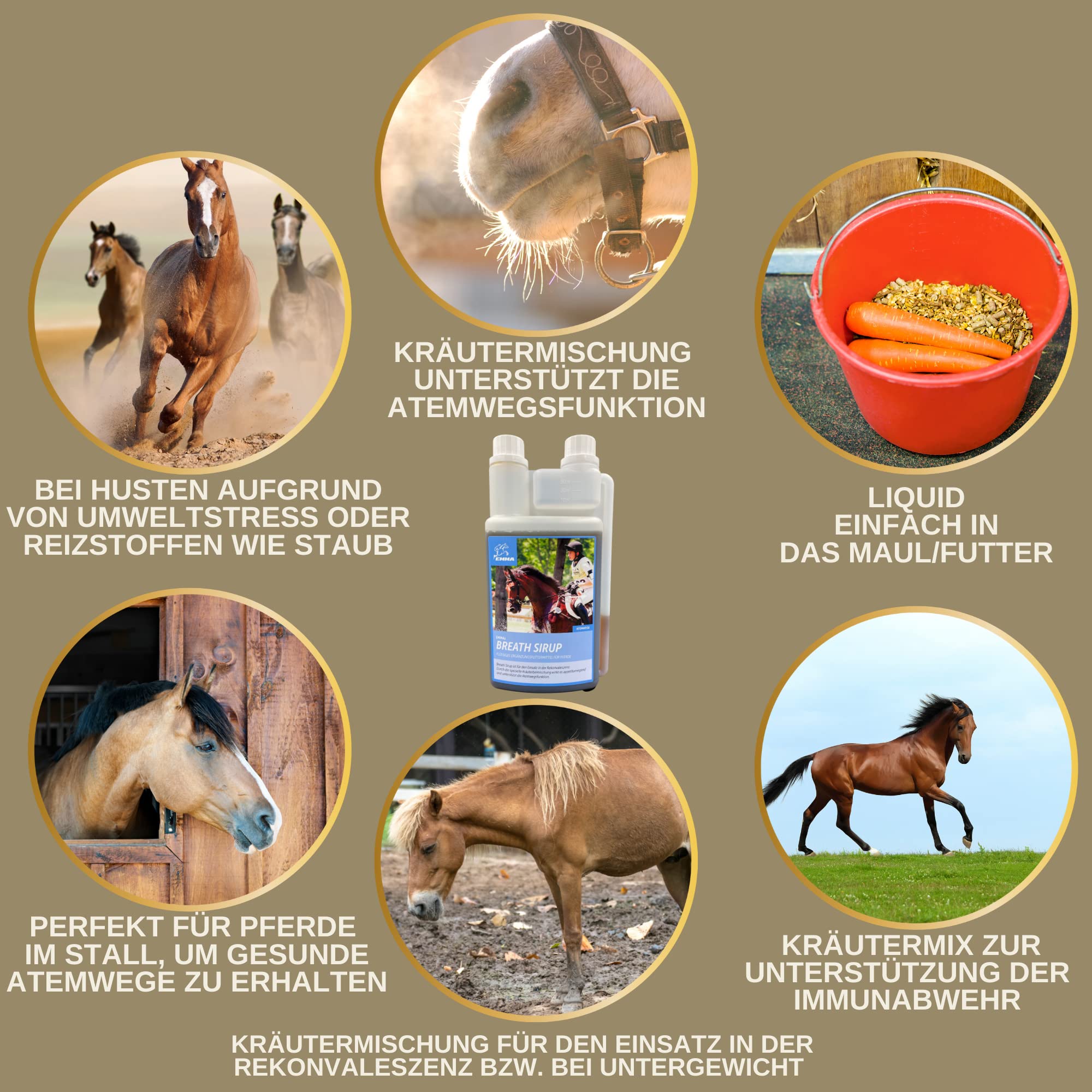 Jarabe para la tos caballo - jarabe hierbas bronquiales caballo tomillo hinojo expectorante I hierbas respiratorias caballo tos I para la tos caballo libre vías respiratorias I hierbas tos caballo 1L