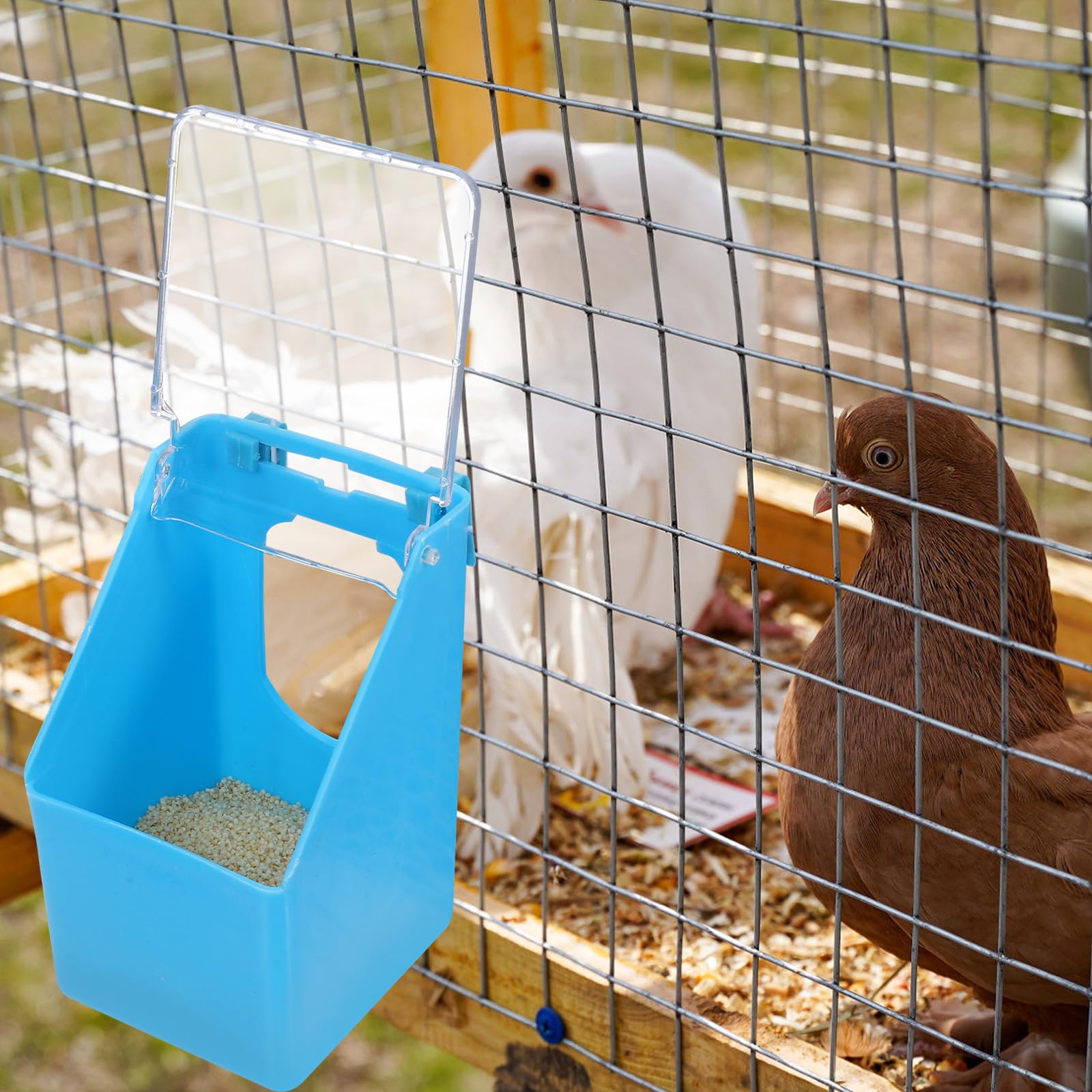 DOITOOL Mangiatoia Multifunzione per Uccelli Coperchio in Pp, Set 4 Pezzi per Piccioni, Pappagalli e Quaglie, Ciotola Anti-rovesciamento per Gabbia, Facile da Installare e