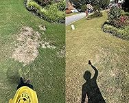 Review Image by Andy Andy