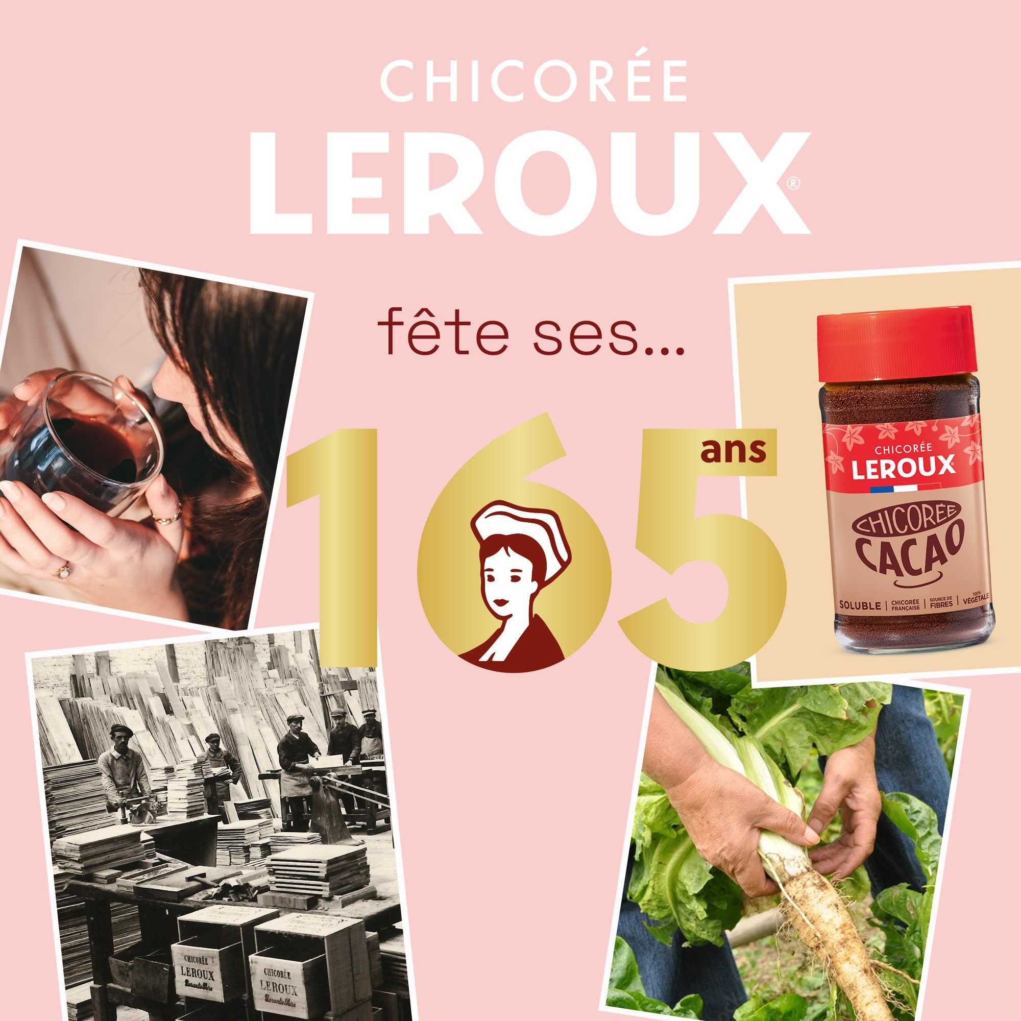 Leroux - Chicorée Soluble Cacao - 100% d'Origine Végétale - Chicorée Cultivée en France - Source de Fibres, Sans Sucres Ajoutés - Pot de 100g