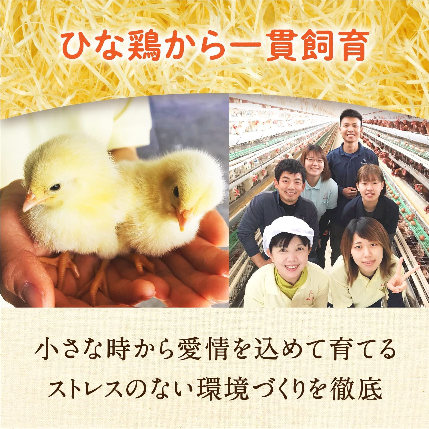 Amazon | サン・ファーム あかねちゃん 生卵 鶏卵 朝採り 国産 九州