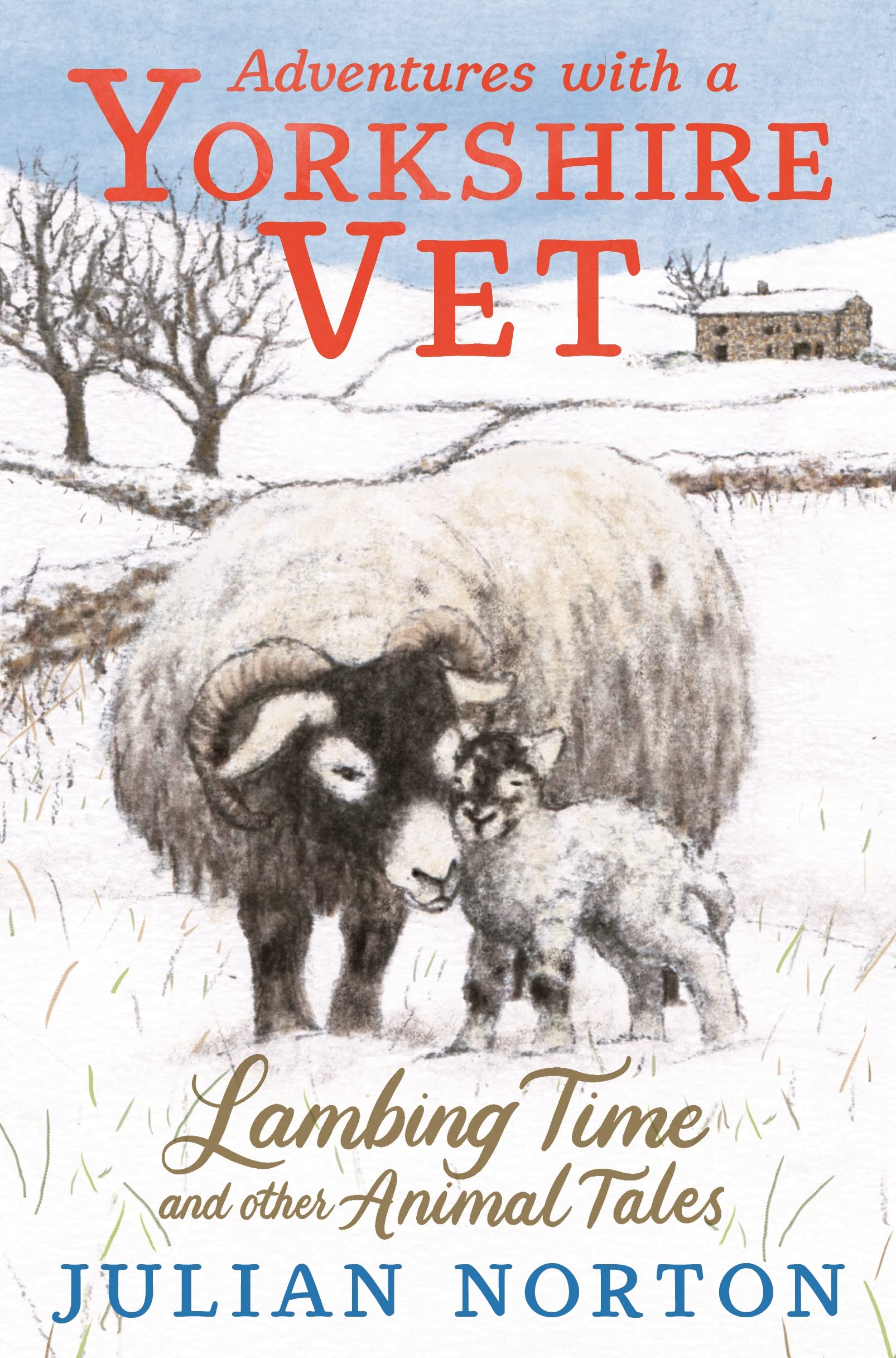 Adventures with a Yorkshire Vet: Lambing Time and Other Animal Tales: Charming animal adventures for 8–11 readers (The Norendy Tales)