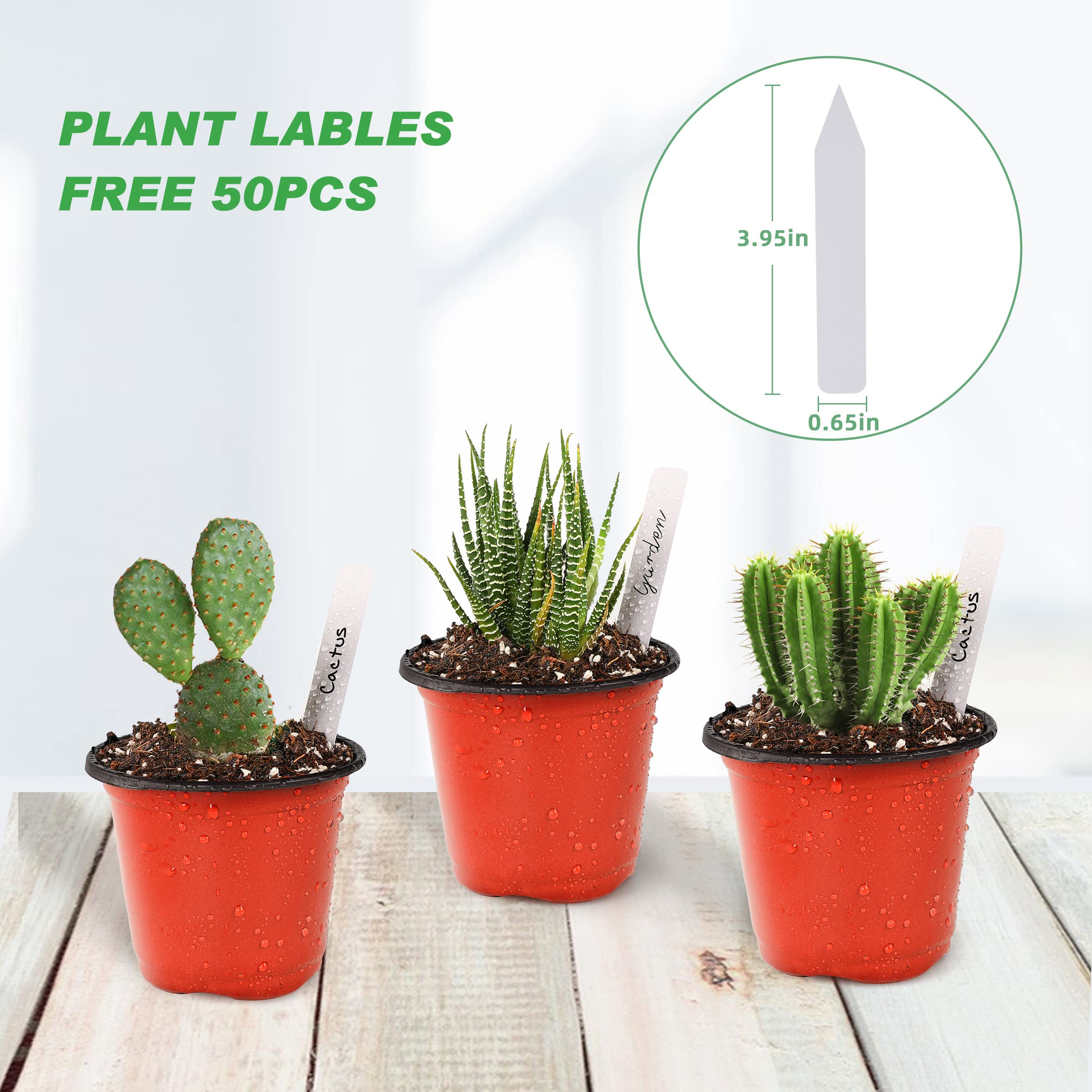 TDHDIKE Plastic Planter Nursery Pots 4" Small (50pcs) Seedlings Flower Pots Container Seed Starting Pots for Plants Come with 50pcs Labels - 5
