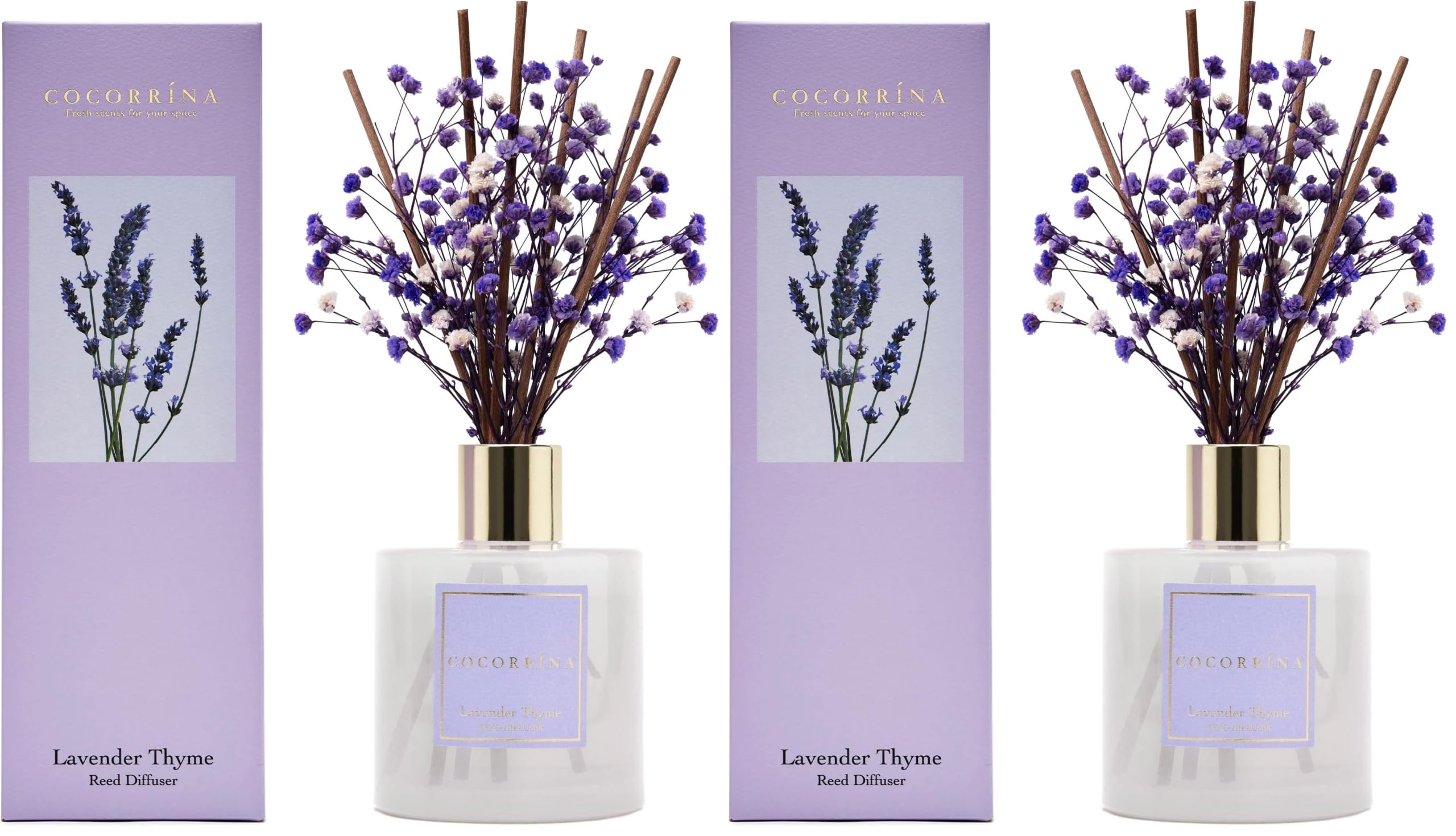 Cocorrína Premium Reed Diffuser Set with Preserved Baby's Breath &amp; Cotton Stick Lavender Thyme | 6.76 Fl.oz Scent Diffuser for Bedroom Bathroom Home Décor (Pack of 2)