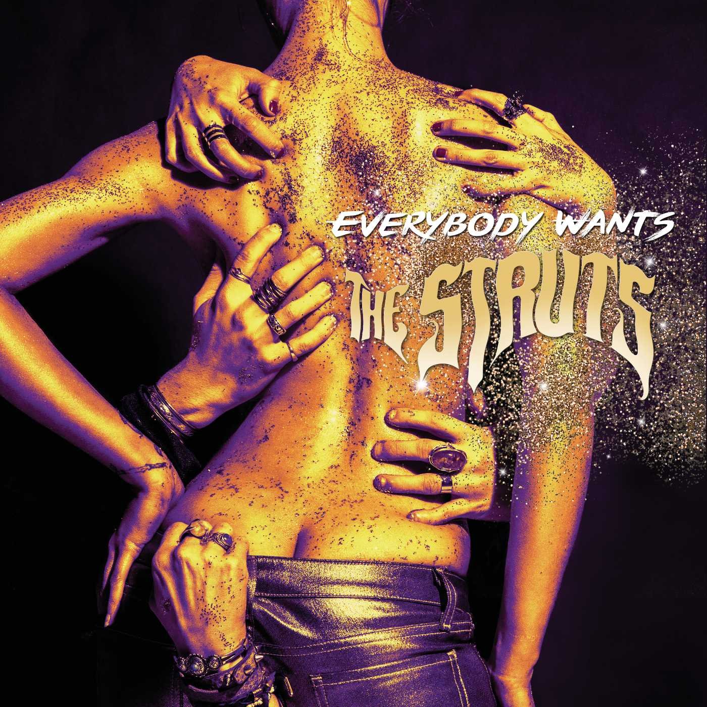 The Struts - Everybody Wants CD Album - Used