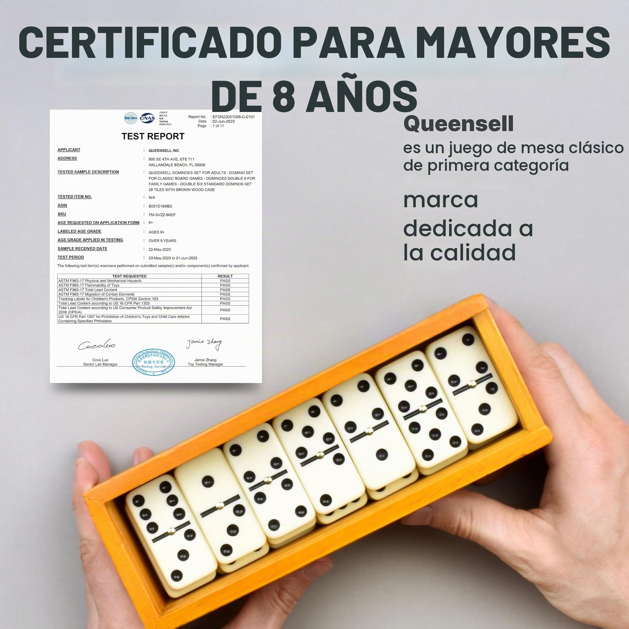 Queensell Juego de dominó para adultos - Dominó - Juegos de mesa clásicos, juegos familiares dobles de 6 dominó para niños y adultos - Juego de dominó estándar doble seis 28 azulejos con caja de