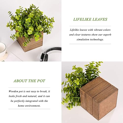 Miniatura 4 de Vlorart Pequeñas plantas falsas, paquete de 2 mini macetas de plástico artificial de boj verde helecho planta decorativa en maceta de madera, planta